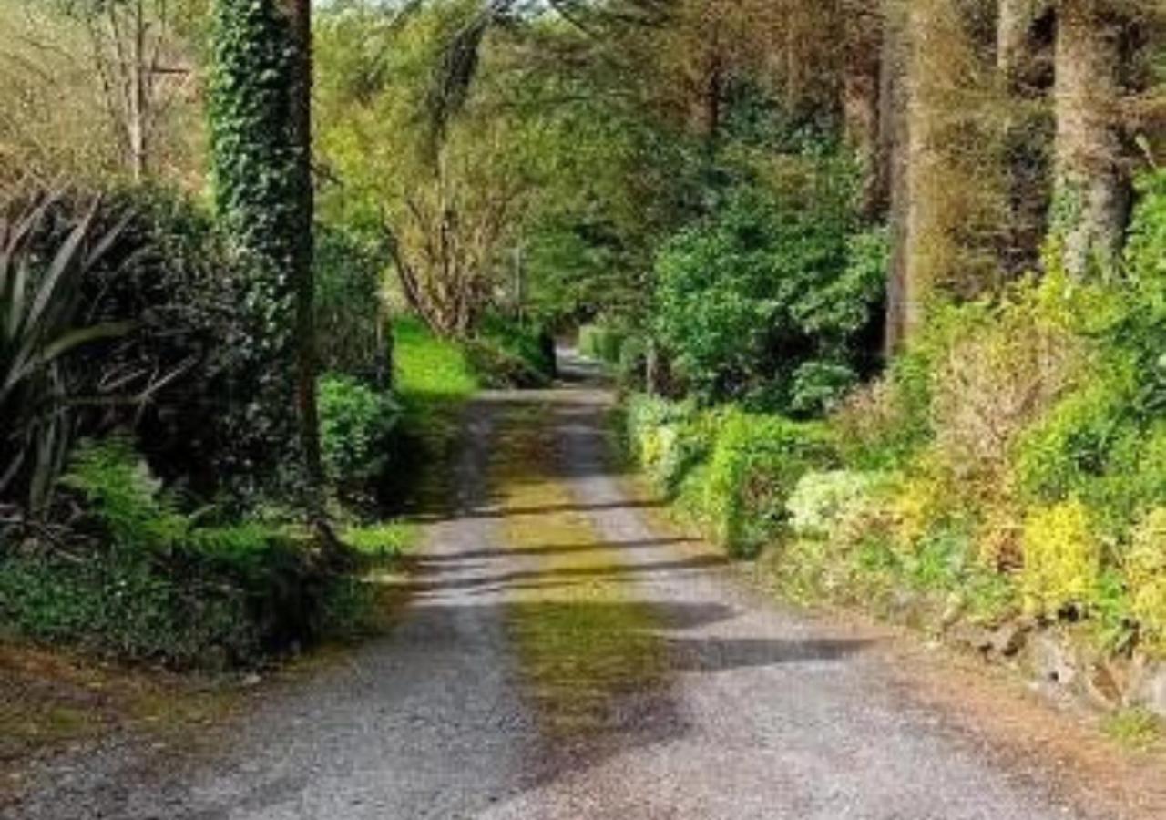 Barnesmore Cottage Dış mekan fotoğraf
